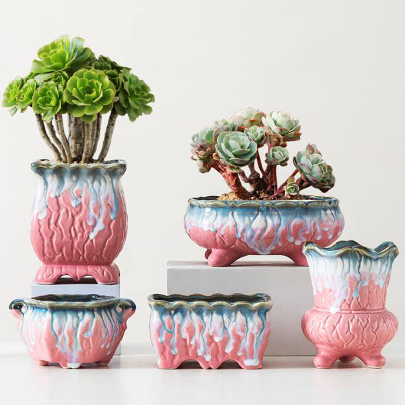Snake Plant Ceramic - Креативный глазурованный семейный горшок бонсай, горшок,
