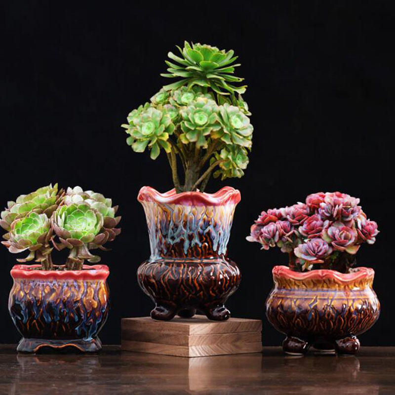 Креативный глазурованный семей – обзор и цена Snake Plant Ceramic