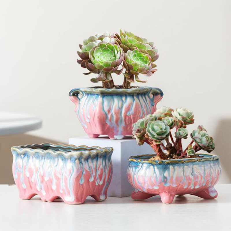 Креативный глазурованный семей – обзор и цена Snake Plant Ceramic