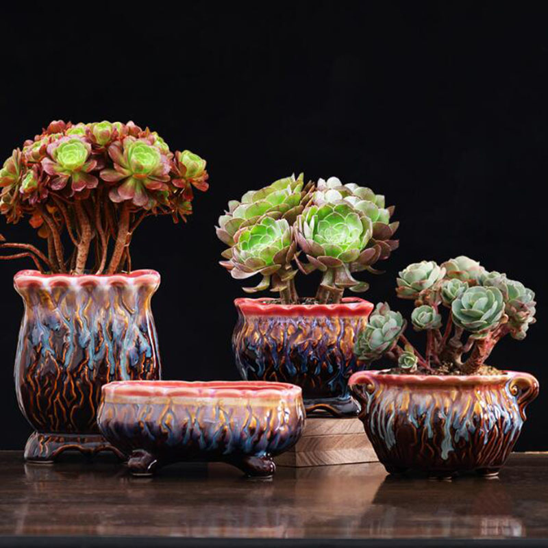 Креативный глазурованный семей – обзор и цена Snake Plant Ceramic