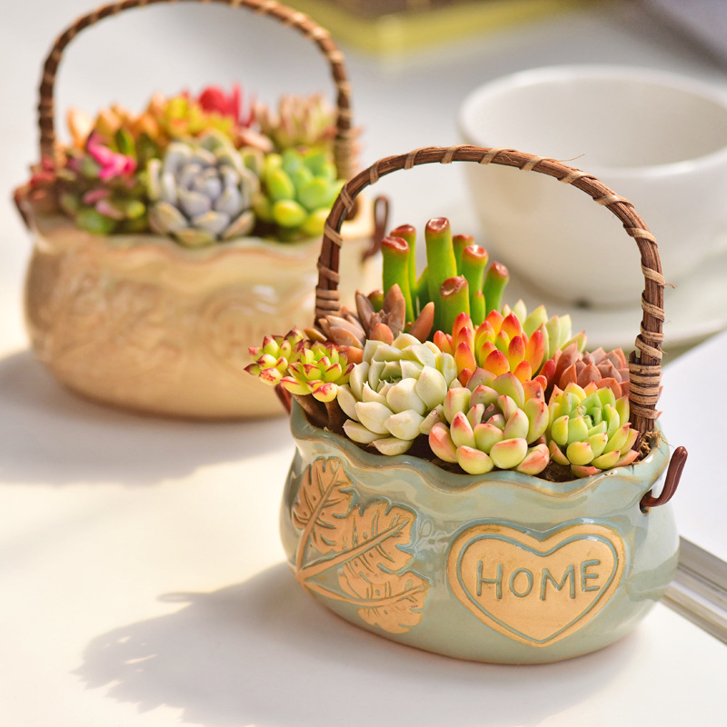 Керамическое кашпо в скандинав – обзор и цена Snake Plant Ceramic