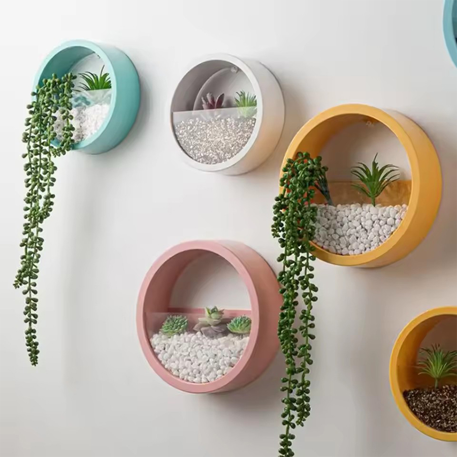 Круглый настенный кашпо для ра – обзор и цена Snake Plant Ceramic