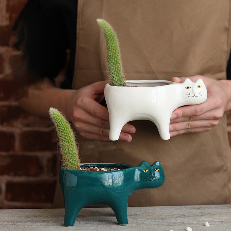 Керамический садовый цветочный – обзор и цена Snake Plant Ceramic