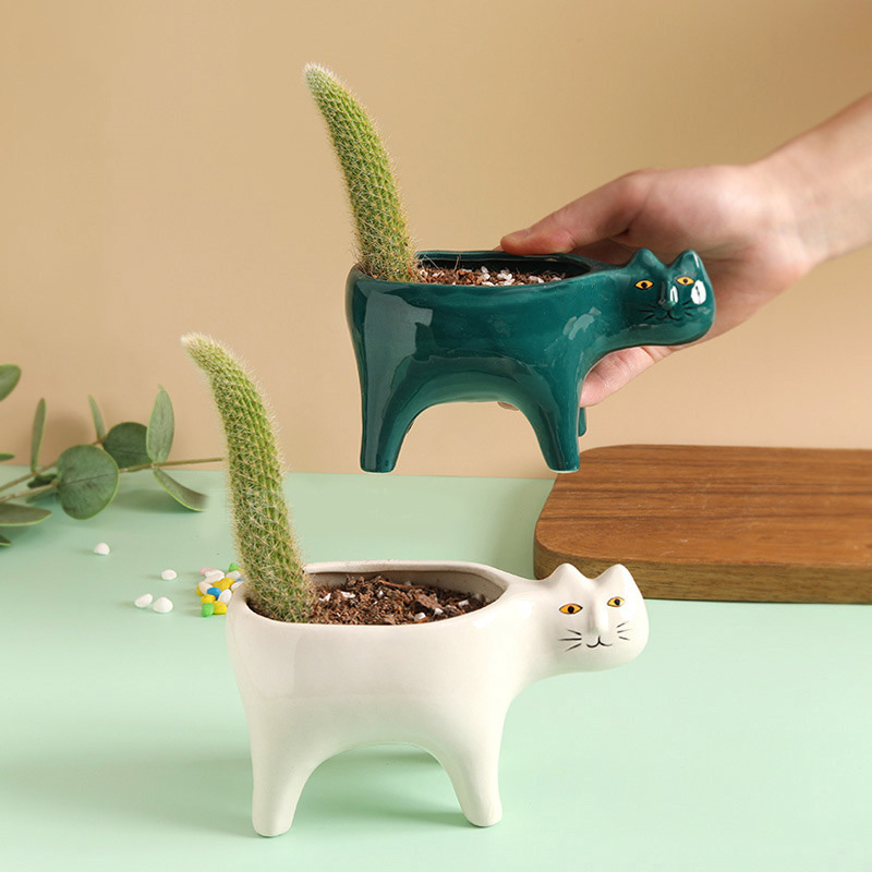 Керамический садовый цветочный – обзор и цена Snake Plant Ceramic