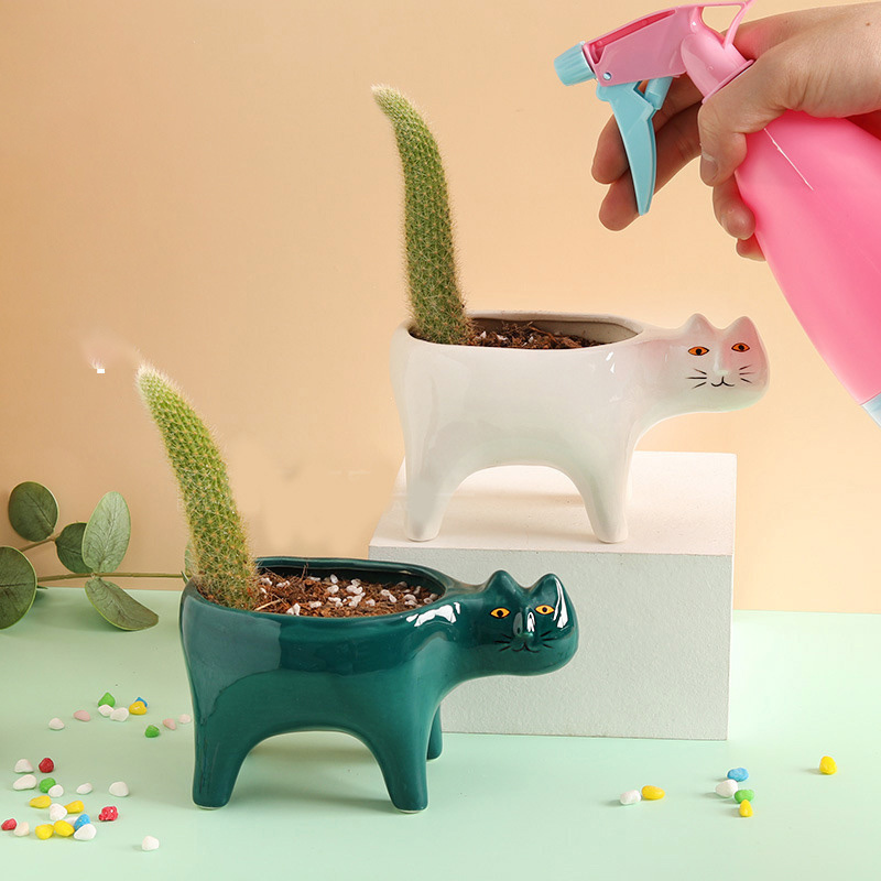Керамический садовый цветочный – обзор и цена Snake Plant Ceramic